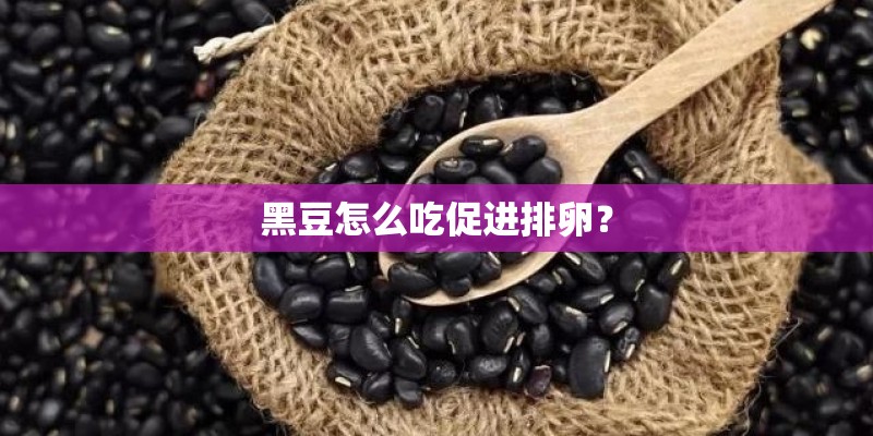 黑豆怎么吃促进排卵？