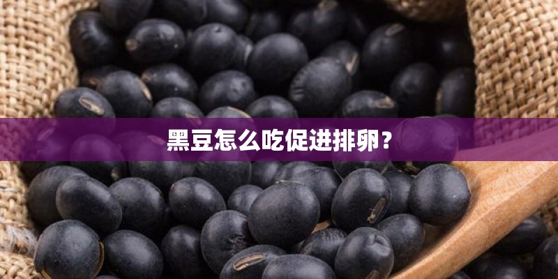 黑豆怎么吃促进排卵？