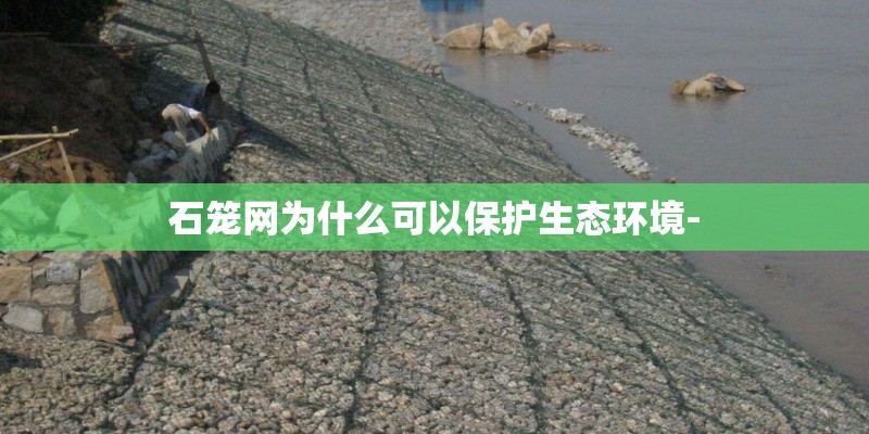 石笼网为什么可以保护生态环境-