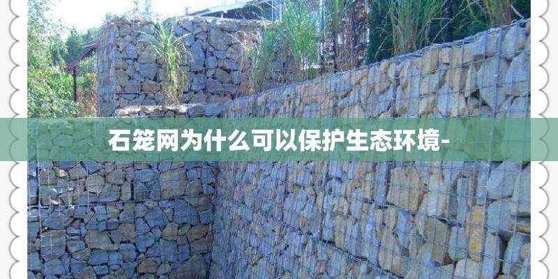 石笼网为什么可以保护生态环境-