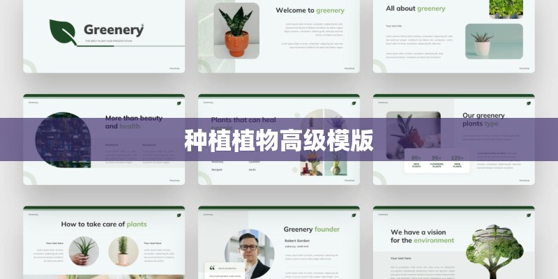 种植植物高级模版
