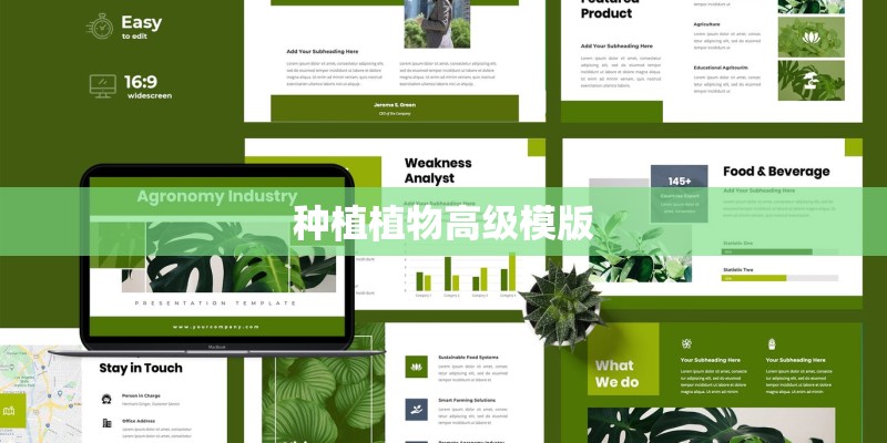 种植植物高级模版