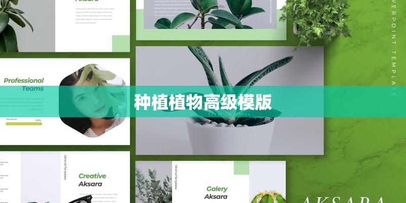 种植植物高级模版