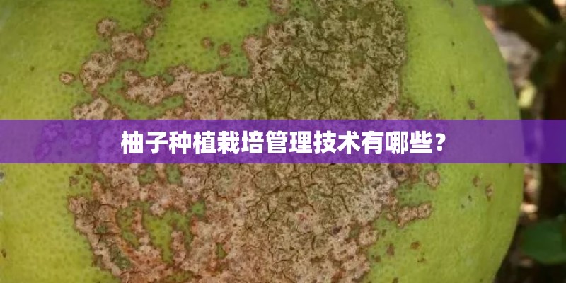 柚子种植栽培管理技术有哪些？