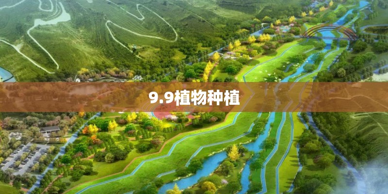 9.9植物种植