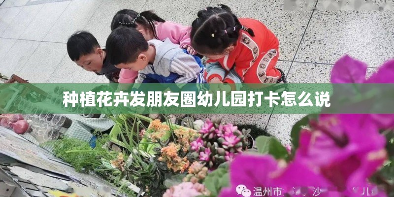 种植花卉发朋友圈幼儿园打卡怎么说