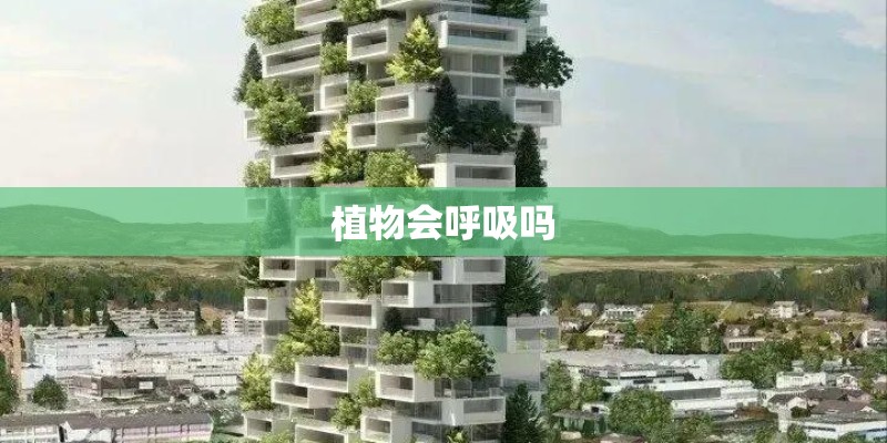 植物会呼吸吗