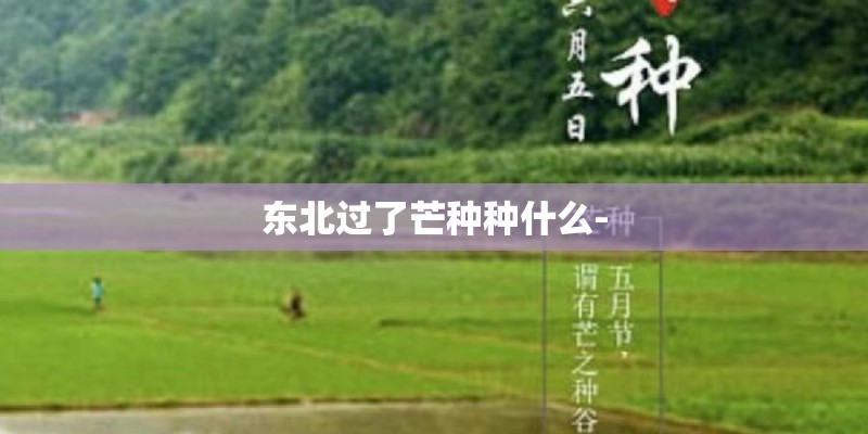 东北过了芒种种什么- 东北过了芒种种什么-