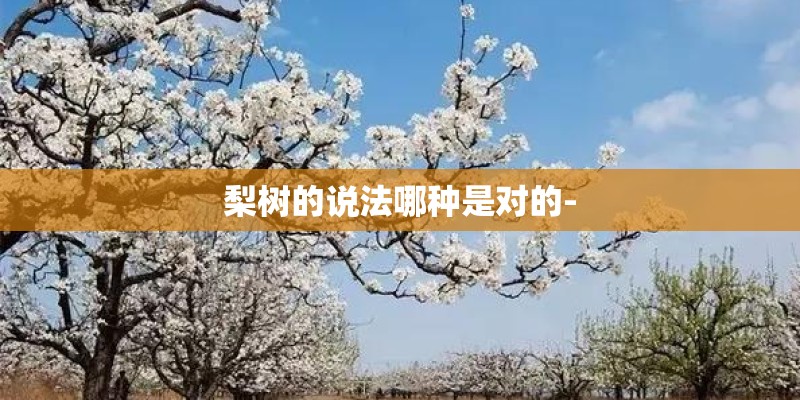 梨树的说法哪种是对的- 梨树的说法哪种是对的-