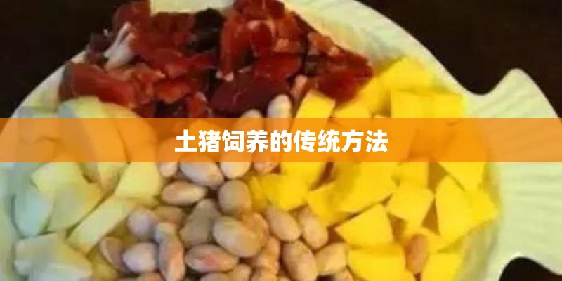 土猪饲养的传统方法