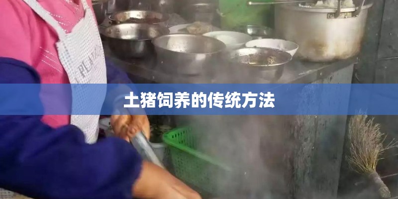 土猪饲养的传统方法