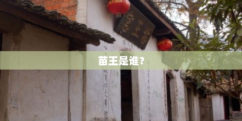 苗王是谁？