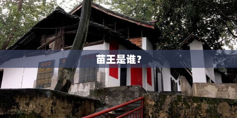 苗王是谁？