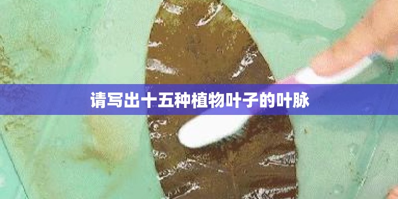 请写出十五种植物叶子的叶脉