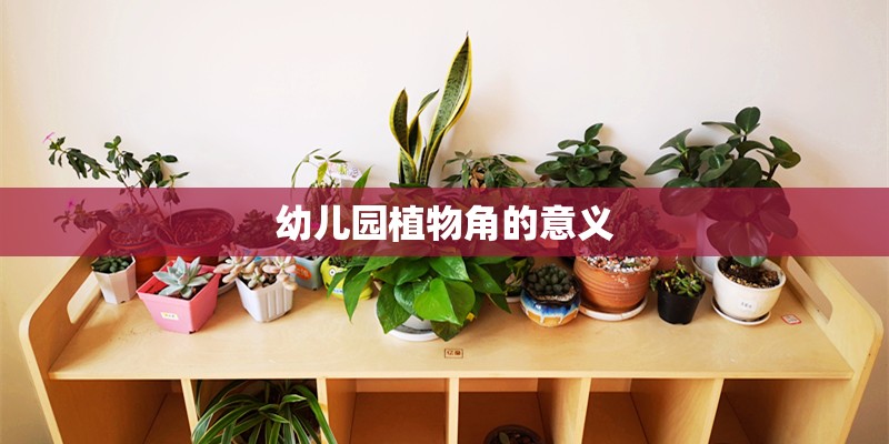 幼儿园植物角的意义