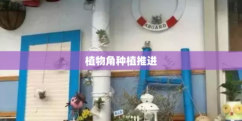 植物角种植推进