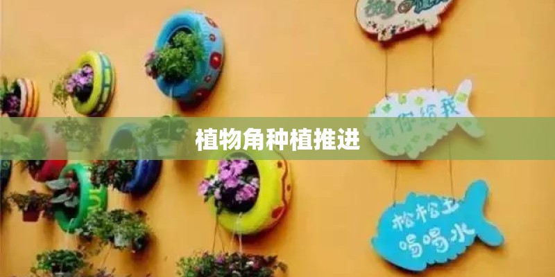 植物角种植推进