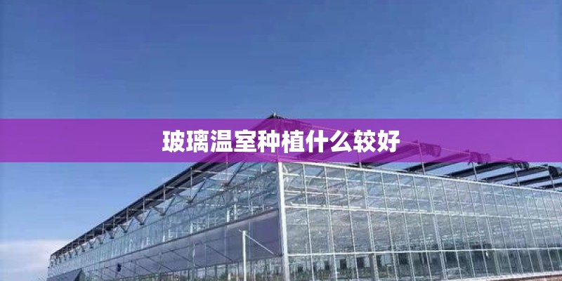 玻璃温室种植什么较好