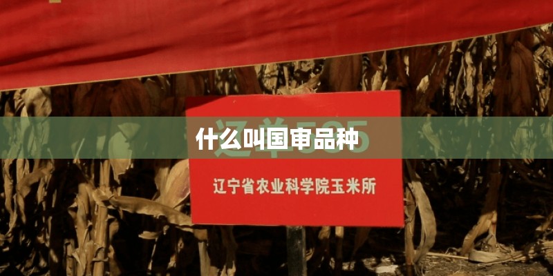 什么叫国审品种