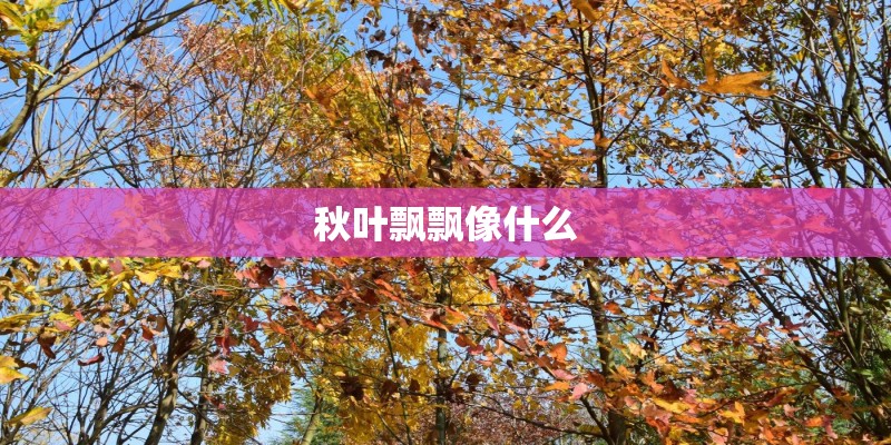 秋叶飘飘像什么
