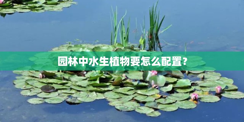 园林中水生植物要怎么配置？