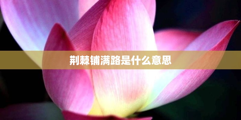 荆棘铺满路是什么意思