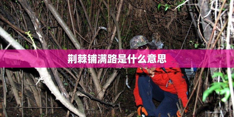 荆棘铺满路是什么意思