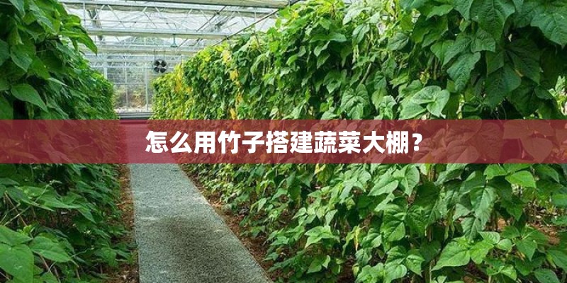 怎么用竹子搭建蔬菜大棚？