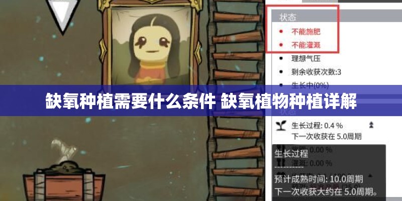缺氧种植需要什么条件 缺氧植物种植详解