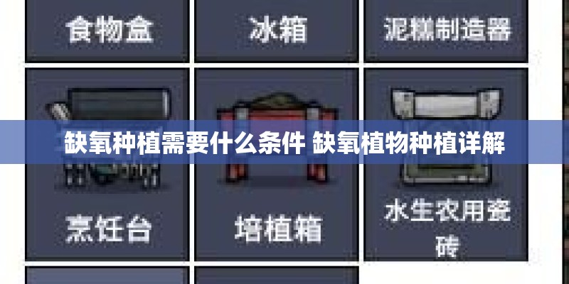 缺氧种植需要什么条件 缺氧植物种植详解