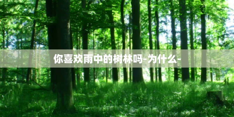 你喜欢雨中的树林吗-为什么-
