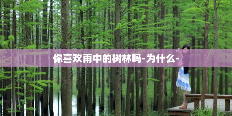 你喜欢雨中的树林吗-为什么-