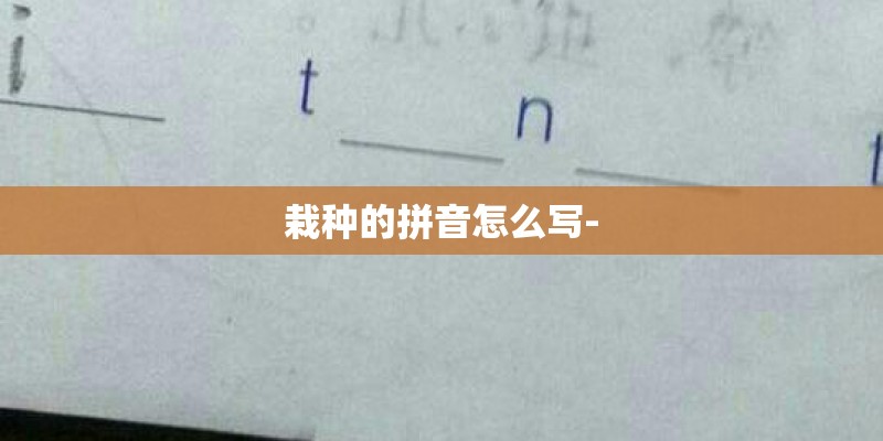 栽种的拼音怎么写-