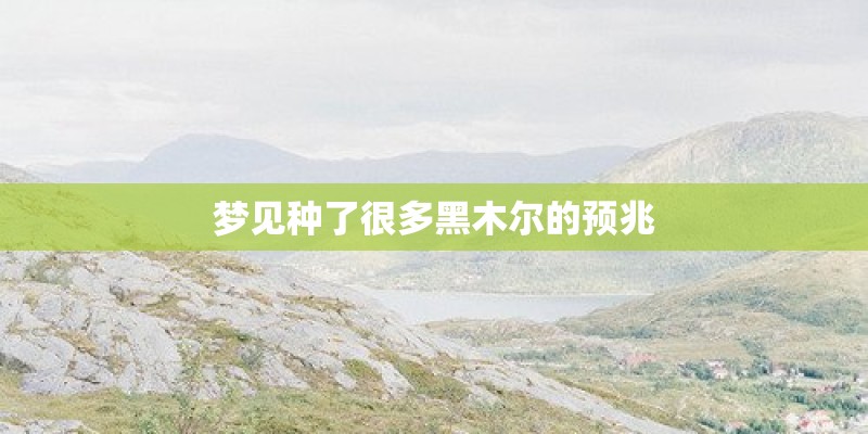 梦见种了很多黑木尔的预兆