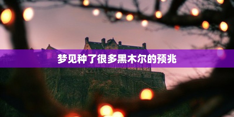 梦见种了很多黑木尔的预兆