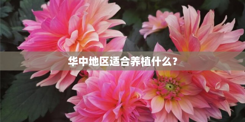 华中地区适合养植什么？