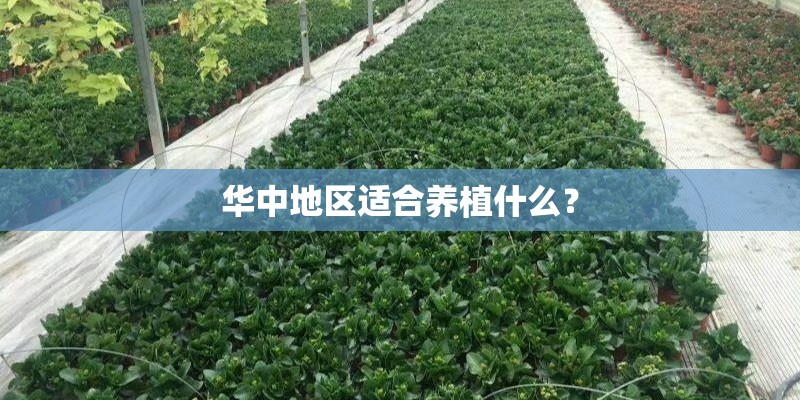 华中地区适合养植什么？