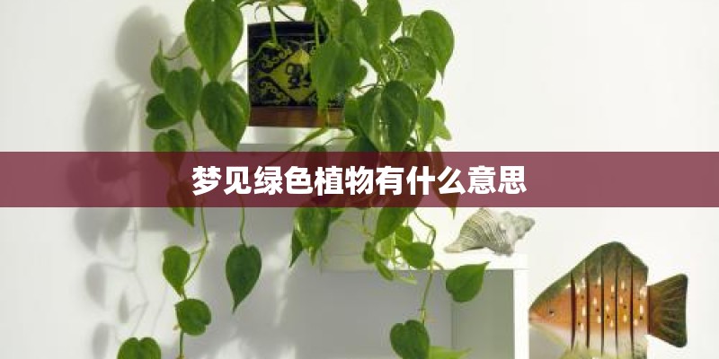 梦见绿色植物有什么意思