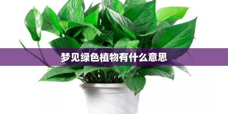 梦见绿色植物有什么意思 梦见绿色植物有什么意思