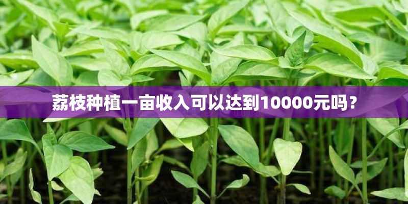 荔枝种植一亩收入可以达到10000元吗? 荔枝种植一亩收入可以达到10000元吗?