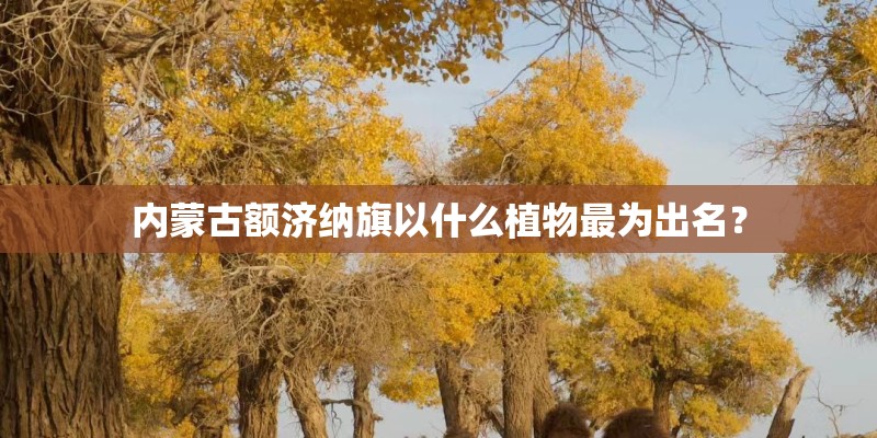 内蒙古额济纳旗以什么植物最为出名？