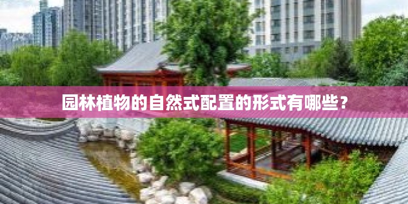 园林植物的自然式配置的形式有哪些？