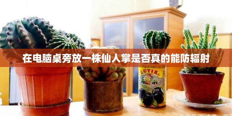 在电脑桌旁放一株仙人掌是否真的能防辐射