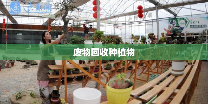 废物回收种植物