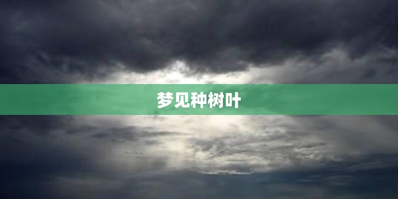 梦见种树叶