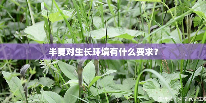 半夏对生长环境有什么要求？