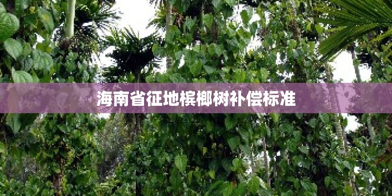 海南省征地槟榔树补偿标准