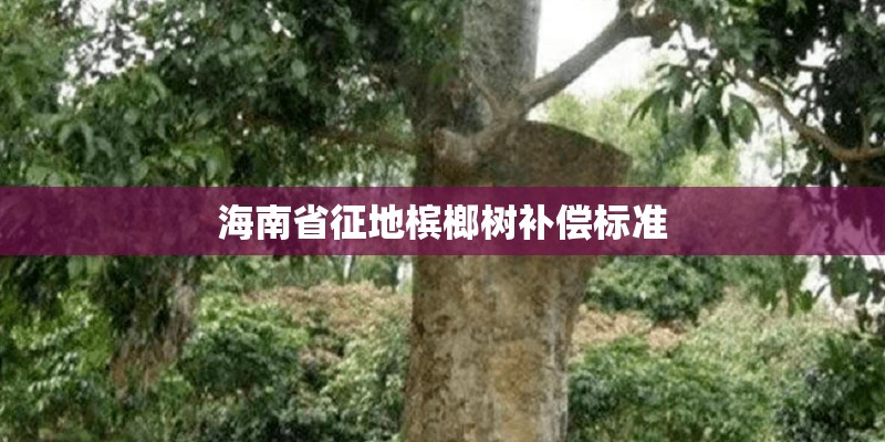 海南省征地槟榔树补偿标准 海南省征地槟榔树补偿标准