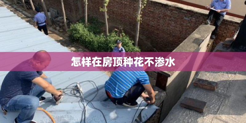 怎样在房顶种花不渗水
