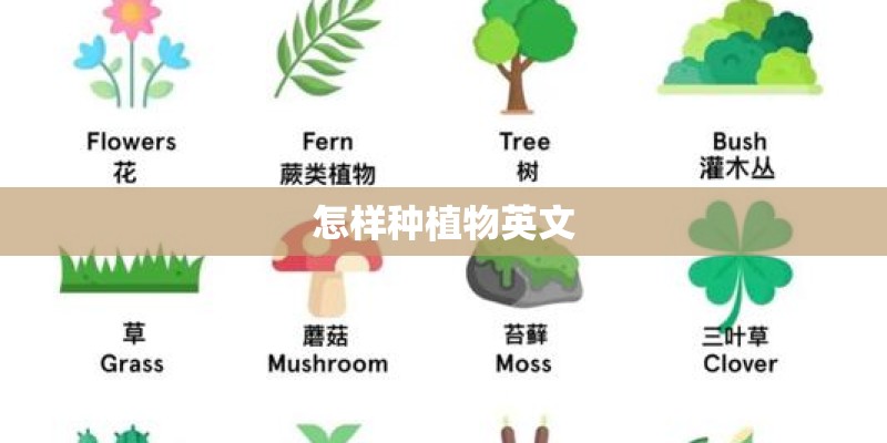 怎样种植物英文